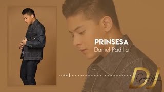 Prinsesa  Daniel Padilla Lyrics  DJ Greatest Hits [upl. by Levon]