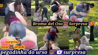 Cuidado con el Oso🐻 Pegadinha do urso 🐻‍❄️ surpresa  Surprise Bear prank [upl. by Judith]