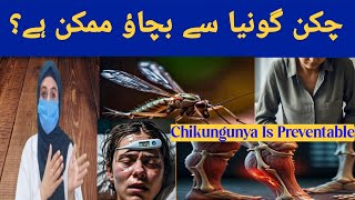 Chikungunya Fever Causes Signs and Symptoms Diagnosis amp Treatment  Dr Muqadus Official [upl. by Litsyrk]