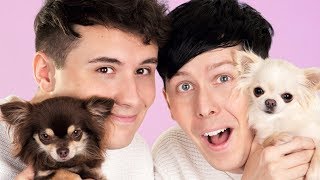 Dan and Phil AND DOGS [upl. by Anen]