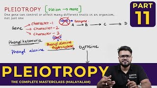 Mastering PLEIOTROPY  Principles of Inheritance and Variations  CLASS 11 [upl. by Herrle]