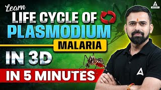 Life Cycle of Plasmodium in 3D  Malaria Life Cycle Symptoms amp Prevention  Neet2025  Vishal Sir [upl. by Hiasi]