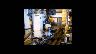 FICEP TIPO D8 PLATE PROCESSING LINE [upl. by Renwick194]