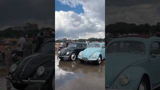 Qual VW Fusca você levaria para casa [upl. by Bartie]