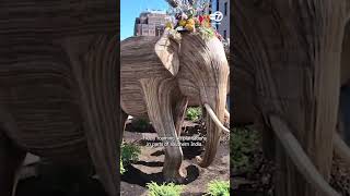 Massive outdoor art installation in NYC aims to save the elephants [upl. by Onek]