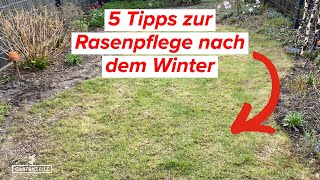 5 Tipps für die Rasenpflege nach dem Winter Das solltest du unbedingt beachten [upl. by Holbrooke968]