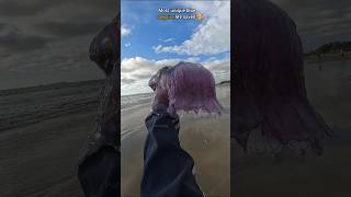 Rescue Mission Saved rare venomous Blue Jellyfish 🥺 [upl. by Torosian]