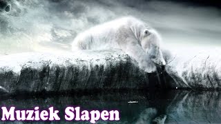 Ontspannende Muziek Slapen ♥ Dromen van Deep ontspannende muziek voor meditatie diepe slaap [upl. by Blithe642]