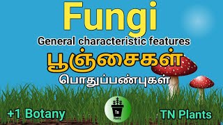 Fungiபூஞ்சைகள் [upl. by Queston]