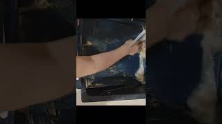 Cleaning congealed grease asmr cleaningdishes satisfying [upl. by Aloisius]