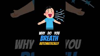 Why do you BREATH automatically Medulla Explained shorts [upl. by Suoirtemed]