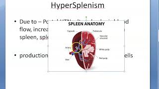 Medicine HyperSplenism Overactive spleen [upl. by Mota]