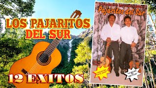 Los Pajaritos Del Sur  12 Exitos Corridos Sierreños Album Completo [upl. by Lau]