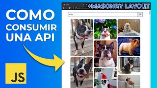 COMO CONSUMIR UNA API CON JAVASCRIPT MASONRYLAYOUT [upl. by Domella]