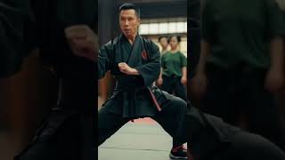 Don Yen martialartsmovies donnieyen kungfu [upl. by Tavish]