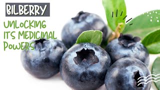 Bilberry Unlocking its Medicinal Powers [upl. by Furey]