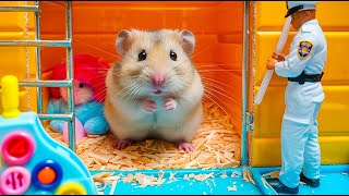 Mr Hamster Escapes the Gigantic Rainbow Balloon Maze 🐹 Hamster Maze [upl. by Aihsenak]