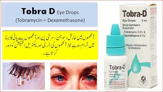 Tobra D Eye Drops Uses in Urdu  Tobramycin Dexamethasone Eye Drops  Tobra D Drops Side Effects [upl. by Anile]