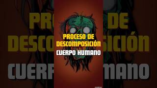 Proceso de DESCOMPOSICIÓN del CUERPO HUMANO [upl. by Rosner730]