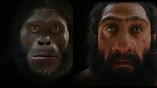 जानवर से इंसान  HUMAN EVOLUTION IN HINDI [upl. by Anoniw]