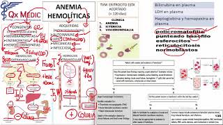 Anemias Hemolíticas [upl. by Silberman]