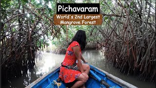 Worlds 2nd Largest Mangrove Forest  Pichavaram  A Day Trip From Pondicherry [upl. by Aneala]