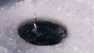 Ice Fishing at Panguitch Lake [upl. by Eahc38]