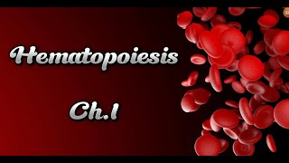 Hematology Ch1Hematopoiesis عملية تكوين الدم🩸 [upl. by Eelrak]