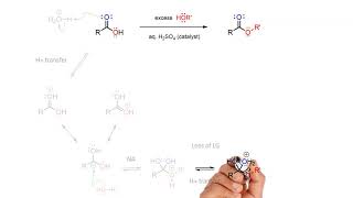 Fischer Esterification mechanism [upl. by Yelrebma]