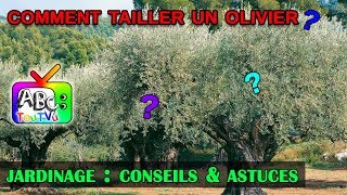 Comment tailler un olivier [upl. by Litnahs]