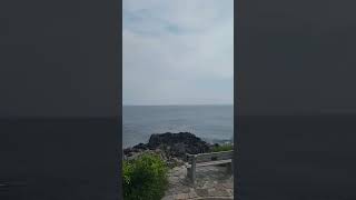 Marginal Way Ogunquit Maine [upl. by Airekahs85]