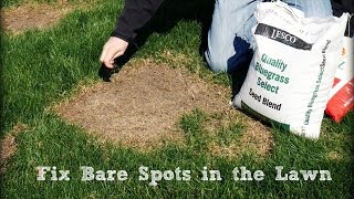 How To Seed And Repair Bare Spots in the Lawn [upl. by Margalo]