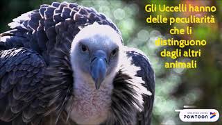 GLI UCCELLI  Maestra Katia LP [upl. by Maximilianus]