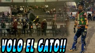 EL TORO QUE ANDA GANANDO TODOGato Volador Vs Teterete De Jalisco [upl. by Jangro]