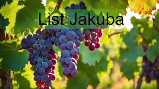 List Jakuba rozdział 4  audio Biblia UBG [upl. by Noteek815]