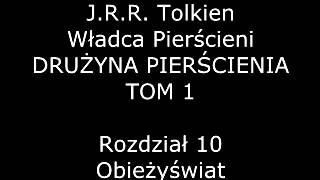 Władca Pierścieni DRUŻYNA PIERŚCIENIA  TOM 1  ks1  Rozdział 10  Obieżyświat [upl. by Cutcliffe]