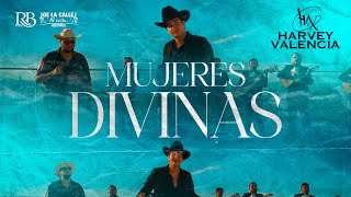 Harvey Valencia  Mujeres Divinas Video Oficial En Vivo [upl. by Yalahs873]