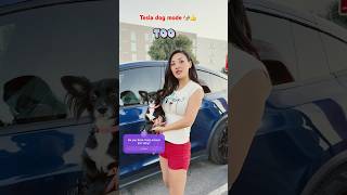 Tesla really care about dogs❤️ tesladogmode funnycargirl comedy doglover youtubecreators [upl. by Oralla217]