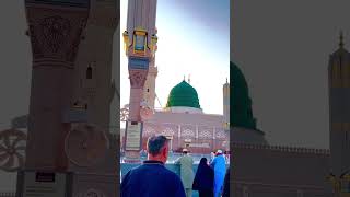 Khuda jub tum sy fermaye 💚🌹🥲youtubeshorts trending duaa islamicprayer shorts naatstatus [upl. by Okeim]