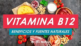 Nutrientes escenciales Vitamina B12 [upl. by Nnyroc682]