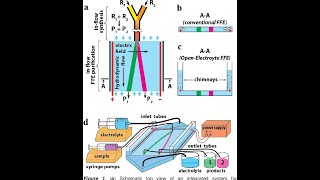 Electroforesis de proteinas [upl. by Liagaba]