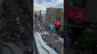 Vista desde Tokyu Plaza Harajuku Japón travel japon japantravel japan viajeajapon tokyo [upl. by Woolley112]