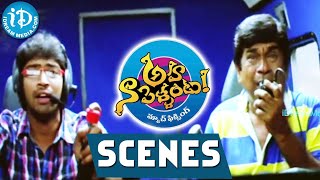 BrahmanandamAllari Naresh Ahana Pellanata Best Comedy Scene  Telugu Best Comedy  iDream [upl. by Birk]