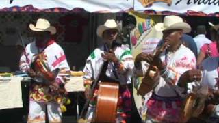 CONJUNTO HUICHOL DE LOS HERMANOS RIOS NAYARIT [upl. by Al]