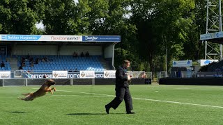 KNPV Nationale Kampioenschappen 2024 Eindhoven [upl. by Nnybor]