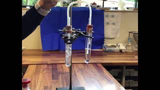 Comparing inhaled and exhaled air [upl. by Haelam]