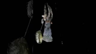 Spider Molting viralvideo gagamba spider fyp trending [upl. by Haag380]