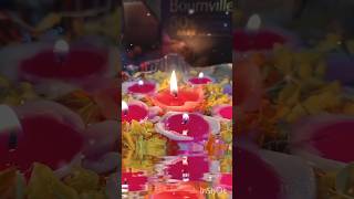 diwali diwalispecial diwalifestival hindu festival trending shorts youtubeshorts [upl. by Cioban20]