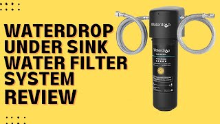 Waterdrop 10UA Under Sink Water Filter System Review Pros amp Cons Explained [upl. by Amie109]