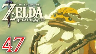 Les épreuves de Daruk  ZELDA BREATH OF THE WILD 47 [upl. by Aikim34]